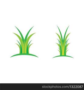 Grass vector illustration