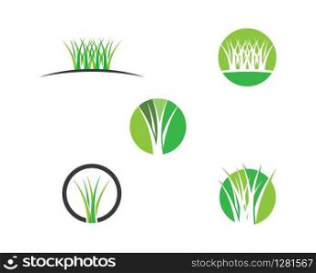 Grass vector illustration design