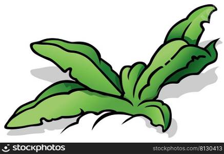 Grass with Broad Leaves - Colored Cartoon Illustration Isolated on White Background, Vector