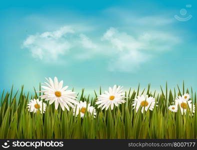 Grass with daisies under blue sky. Retro background. Vector.