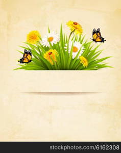 Grass with flowers on old paper background. Vector.