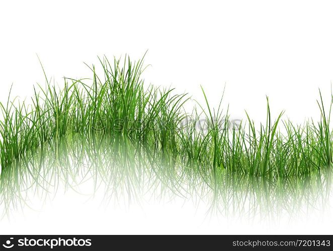 Grass with Reflection on Water