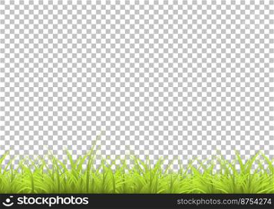 Grass with shadow in isolated background. Summer background. Vector illustration