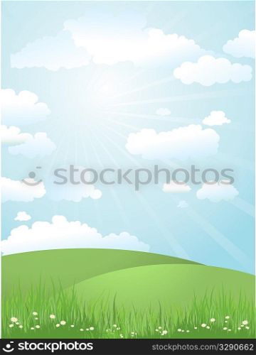 Grassy landscape on a sunny day