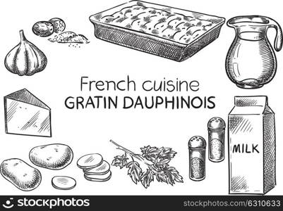 Gratin Dauphinois. Creative conceptual vector. Sketch hand drawn french food recipe illustration, engraving, ink, line art, vector.