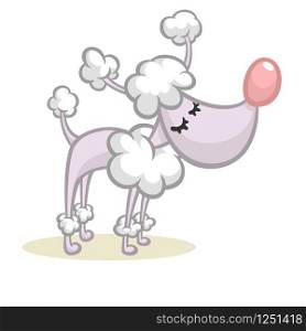 Gray cartoon poodle isolated on a white background. Vector character. All parts separated, great for animation