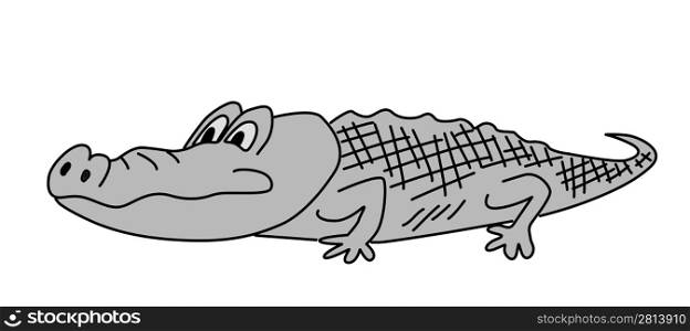 gray crocodile on white background, vector illustration
