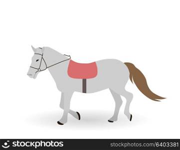 Gray horse on White Background. Vector Illustration. EPS10. Gray horse on White Background. Vector Illustration.