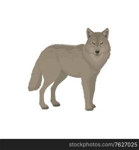 Gray wolf isolated forest animal profile view. Vector wild dog, polar or siberian wolf beast. Wolf isolated wild animal, cartoon forest beast