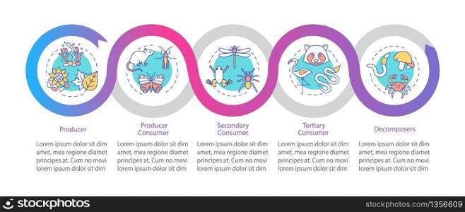 Grazing food chain vector infographic template. Energy consumers presentation design elements. Data visualization with 5 steps. Process timeline chart. Workflow layout with linear icons