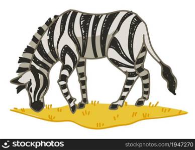 Grazing horse in natural habitat, wild animal and wildlife of africa. Zebra with stripes eating grass on grassland. Mane equine mammal in reservation, zoo or park. Vector in flat style illustration. Zebra animal eating grass on field, grazing horse