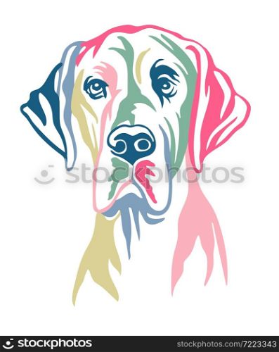 Great dane dog color contour portrait. Dog head in front view vector illustration isolated on white. For decor, design, print, poster, postcard, sticker, t-shirt, cricut, tattoo and embroidery. Great dane dog vector color contour portrait vector