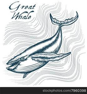 Great Whale in deep water. Engraving style. Only free font used.