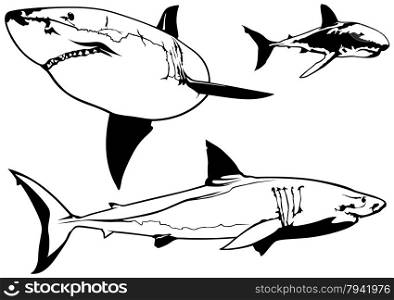Great White Shark Set
