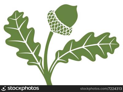 Green acorn with leaves vector