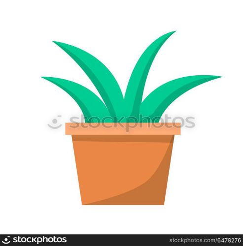 Green Aloe Plant in Clay Pot Vector Illustration. Green aloe plant in clay pot vector illustration icon isolated on white background. Traditional element for decoration of window sills in classrooms