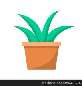 Green Aloe Plant in Clay Pot Vector Illustration. Green aloe plant in clay pot vector illustration icon isolated on white background. Traditional element for decoration of window sills in classrooms