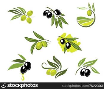 Green and black olives set for agriculture or food design