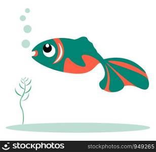 Green and orange colored fish vector illustration