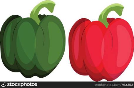 Green and red bellpepper vector illustration of vegetables on white background.
