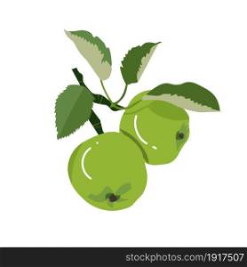 Green apple branch flat design art design stock vector illustration for web, for print object isolated
