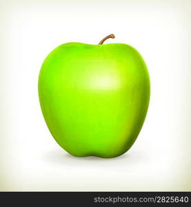 Green apple, vector