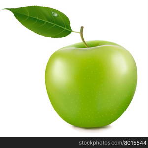 Green apple. Vector