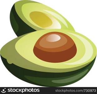 Green avocado cut in half cartoon fruit vector illustration on white background.