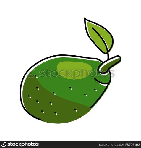 green avocado leaf color icon vector. green avocado leaf sign. isolated symbol illustration. green avocado leaf color icon vector illustration