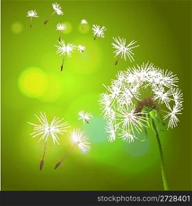 green background with dandelions and lights