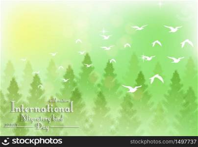 Green background with palm tree and white birds for Birds migratory day.Vector
