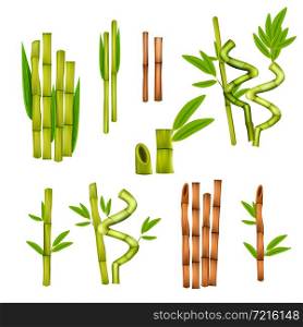 Green bamboo decorative elements and warm massage hollow canes tools various styles realistic set isolated vector illustration . Bamboo Realistic Set