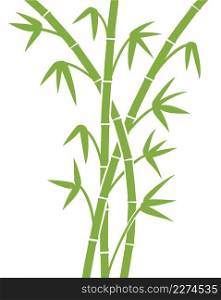 Green Bamboo stems