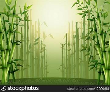 Green bamboo trees background inside the forest