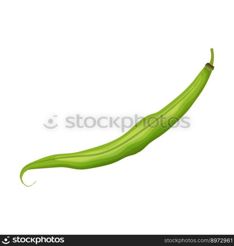 green bean food cartoon. vegetable healthy, fresh pod, organic, diet natural, pea plant, nutrition , agriculture ingredient green bean food vector illustration. green bean food cartoon vector illustration