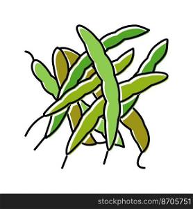 green bean natural color icon vector. green bean natural sign. isolated symbol illustration. green bean natural color icon vector illustration