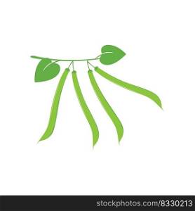 Green beans illustration template vector 