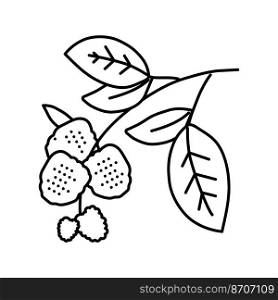 green blackberry bush line icon vector. green blackberry bush sign. isolated contour symbol black illustration. green blackberry bush line icon vector illustration