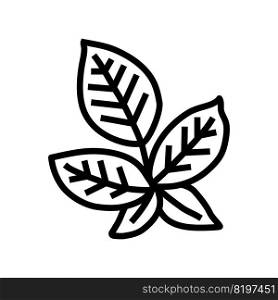 green blackberry leaf line icon vector. green blackberry leaf sign. isolated contour symbol black illustration. green blackberry leaf line icon vector illustration