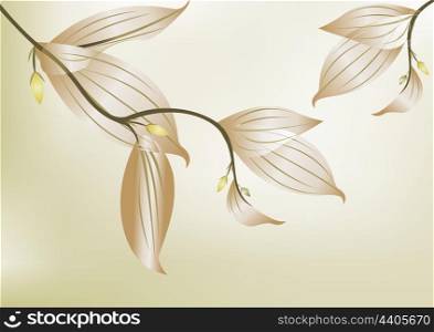 Green branch with leave on white background . Green branch