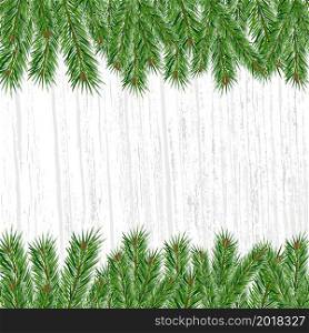 Green branches of spruce or pine on gray background. Vector festive background with space for text. Christmas and New Year background.. branches of spruce or pine on gray background