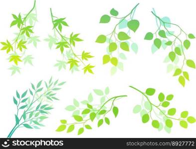 Green branches vector image