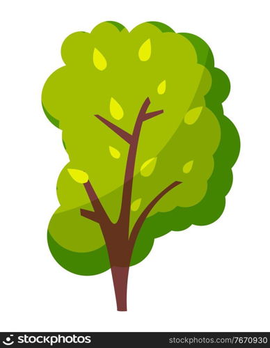 Green bright tree with a lush crown, thick brown trunk and branches isolated on white background. Flat vector illustration of big plant with foliage round shape, landscape element in cartoon concept. Green bright tree with a lush crown, thick brown trunk and branches isolated on white background