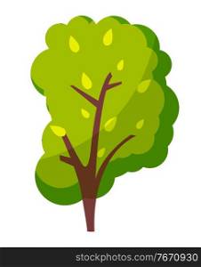 Green bright tree with a lush crown, thick brown trunk and branches isolated on white background. Flat vector illustration of big plant with foliage round shape, landscape element in cartoon concept. Green bright tree with a lush crown, thick brown trunk and branches isolated on white background