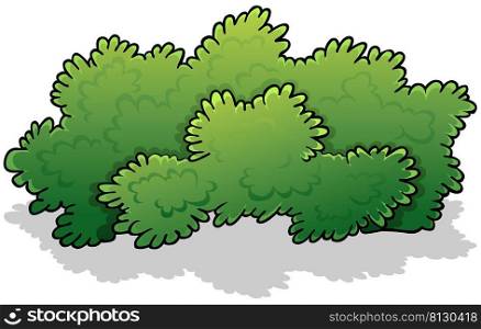 Green Broad Shrub - Colored Cartoon Illustration Isolated on White Background, Vector