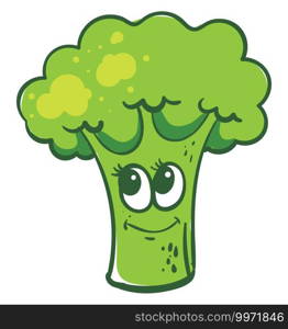 Green broccoli, illustration, vector on white background