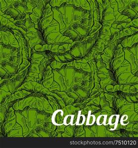 Green cabbage vegetable background with juicy crunchy leaves texture. Agriculture harvest or vegetarian food design usage. Cabbage vegetable background with leaves
