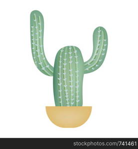 Green cactus in pot isolated on white backgound. Vector illustration.