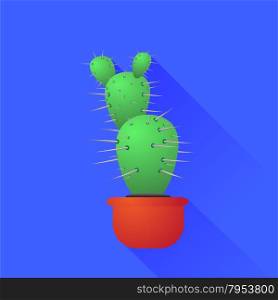 Green Cactus Isolated on Blue Background. Long Shadow. Cactus