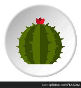 Green cactus plant icon in flat circle isolated on white vector illustration for web. Green cactus plant icon circle